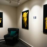 Exhibition - Castle Fine Art - Manchester by Simon Wilkinson