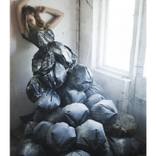 Dusted - Limited Edition 1 of 8 by Andrew Tarnawczyk