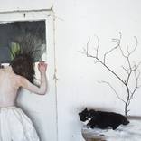 Dream - Limited Edition 3 of 8 by Andrew Tarnawczyk