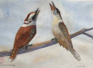 Two Kookaburras Laughing. thumb