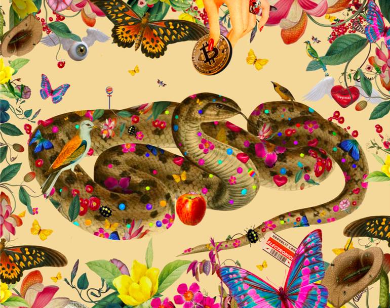 snakes species collage