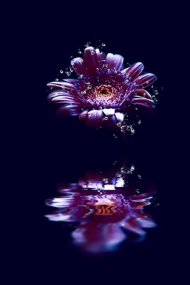 Original Floral Photography by Dan Cristian Lavric