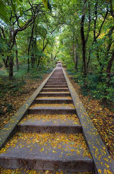 Autumn Ladder thumb