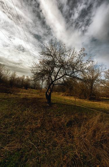 Resisting tree thumb