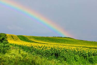 After Rain thumb