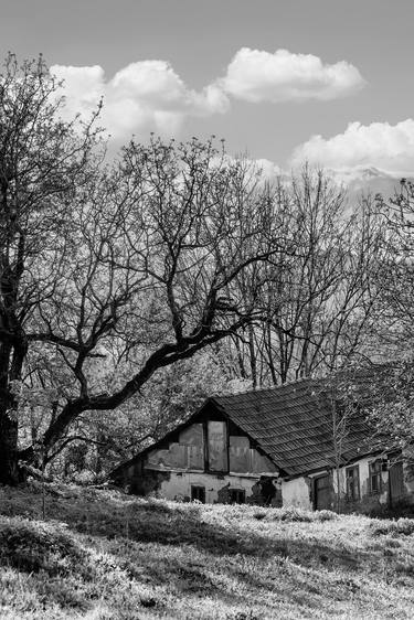 The House Under the Hills thumb