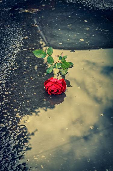 Original Conceptual Time Photography by Dan Cristian Lavric