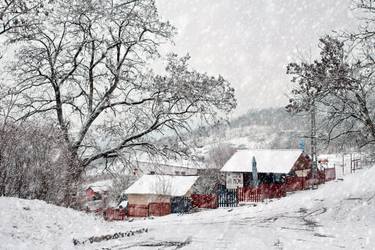Original Conceptual Nature Photography by Dan Cristian Lavric