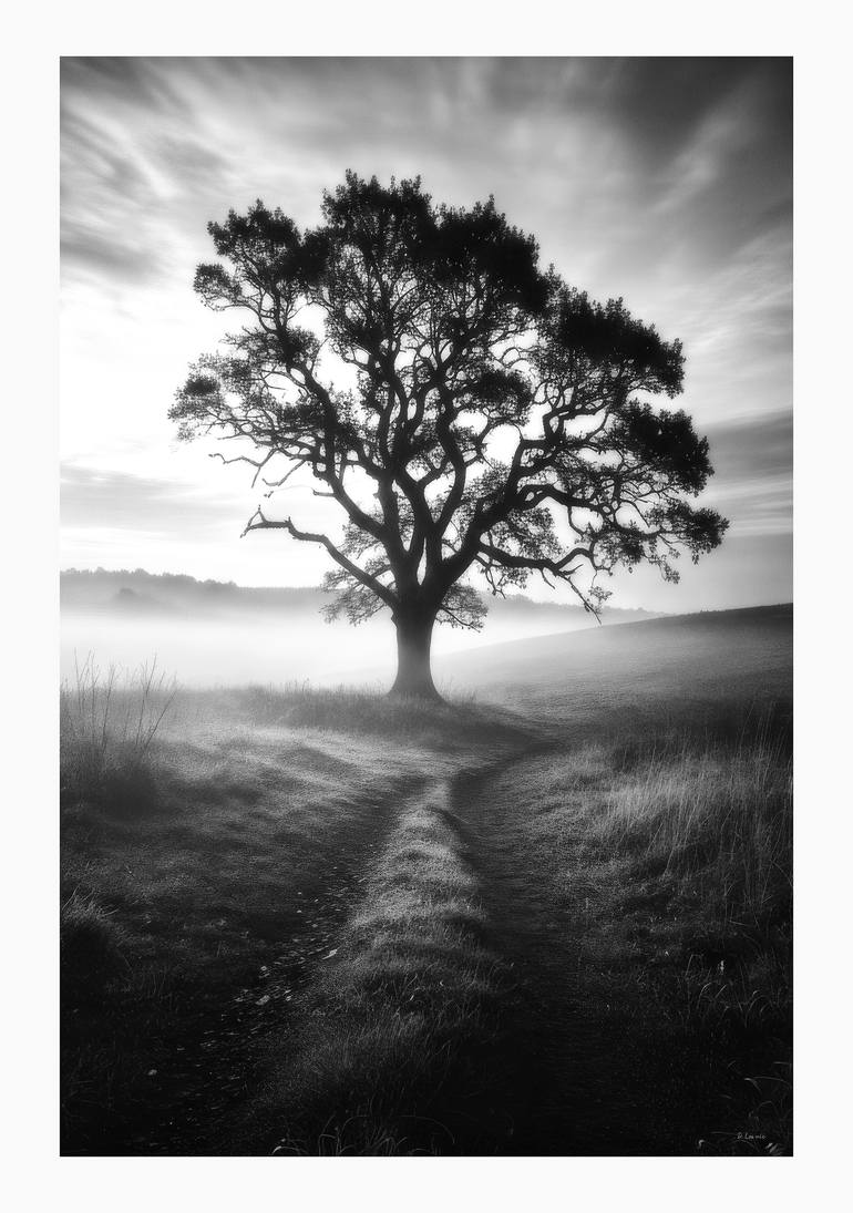 Original Nature Photography by Dan Cristian Lavric | Conceptual Art on Paper | The Guardian of the Field