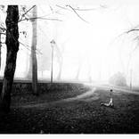 Out In The Fog by Dan Cristian Lavric