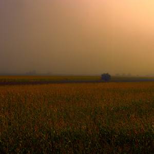 Collection Limited Editions Under $2000