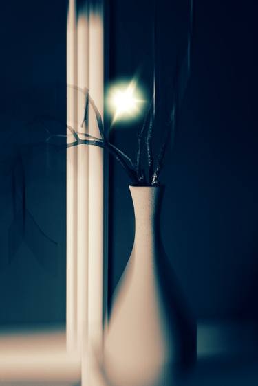 Original Still Life Photography by Dan Cristian Lavric