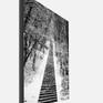 Image height 46.8 in (typical width 31.2 in). 
Traditional (aka C-Type) print.
(Printed on Premium Matte photographic weight paper)
Print technology:silver halide printing technology on photosensitive materials processed on traditional RA4 chemistry.
Certificate of Authenticity added.