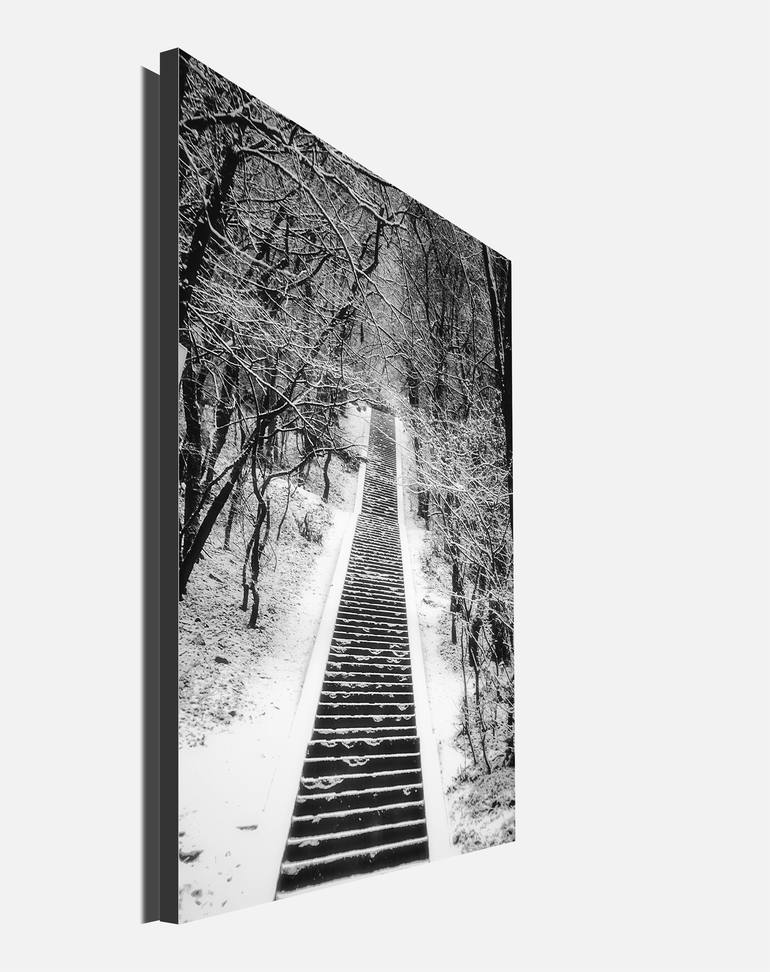 Original Conceptual Nature Photography by Dan Cristian Lavric