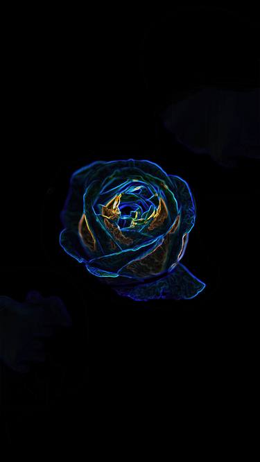 The Neon Rose - Limited Edition 1 of 5 thumb