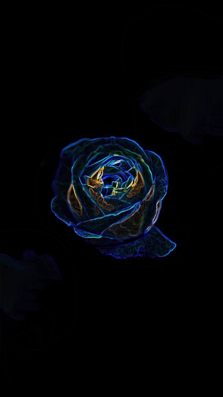 The Neon Rose - Limited Edition 1 of 5 Photography by Dan Cristian Lavric