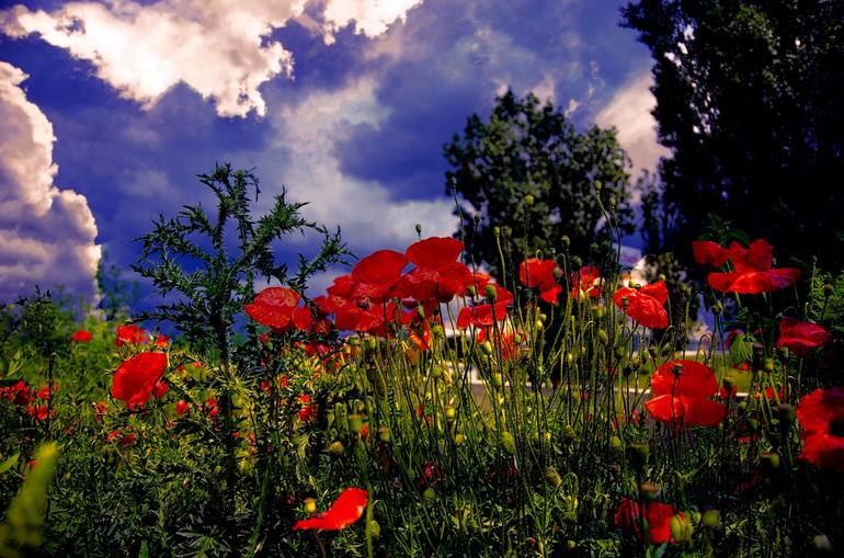 View in a Room Artwork