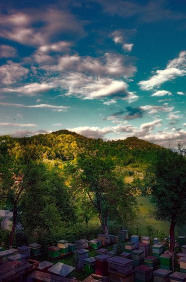 Print of Nature Photography by Dan Cristian Lavric