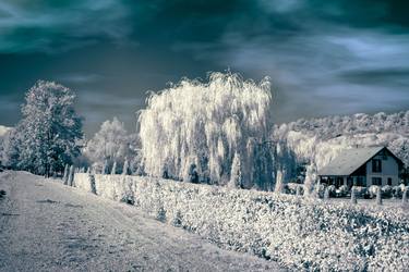 Original Seasons Photography by Dan Cristian Lavric
