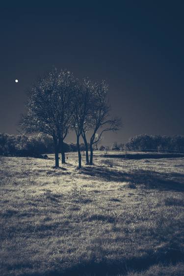 Original Conceptual Landscape Photography by Dan Cristian Lavric