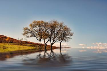 Original Fine Art Landscape Photography by Dan Cristian Lavric