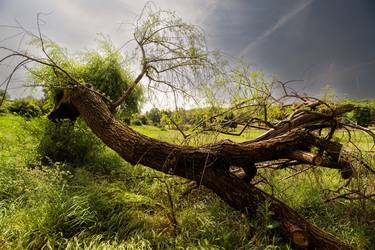 Original Landscape Photography by Dan Cristian Lavric