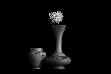 Original Still Life Photography by Dan Cristian Lavric