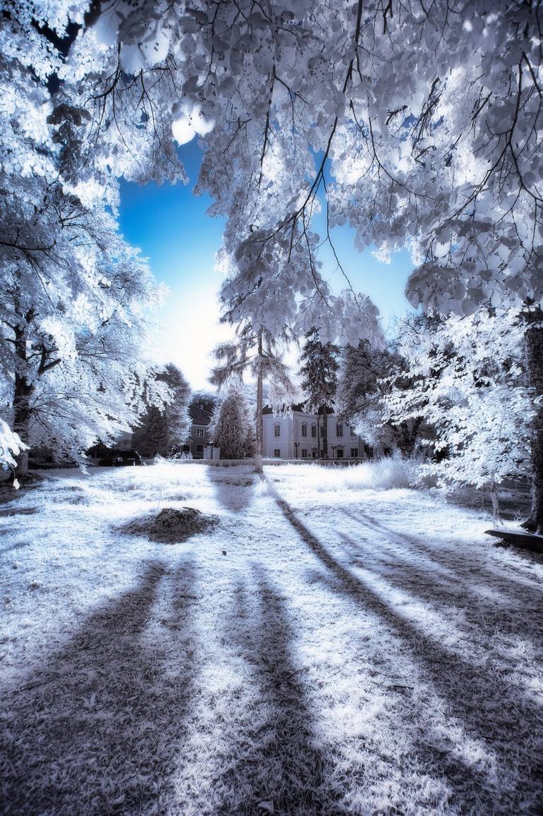 Original  Photography by dan cristian