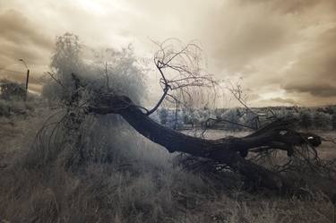 Original Conceptual Seasons Photography by Dan Cristian Lavric