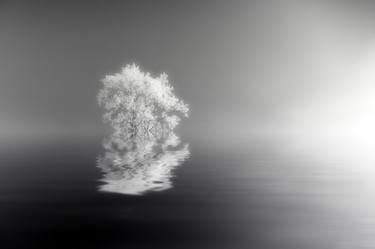 Original Conceptual Abstract Photography by Dan Cristian Lavric