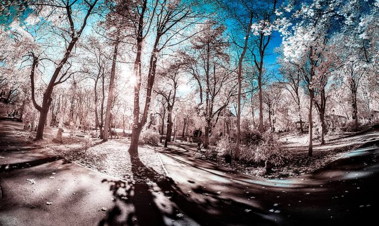 Original  Photography by dan cristian