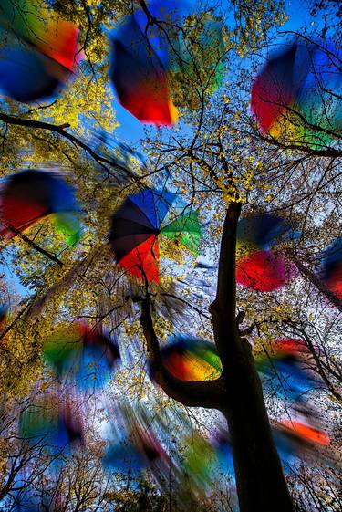 Umbrellas Spiral thumb