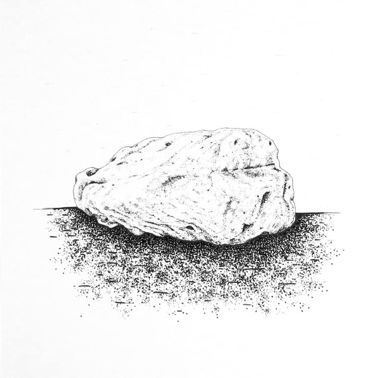 Steller S Rock Drawing By Aiteen Art Saatchi Art