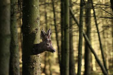 Original Landscape Photography by rory moore