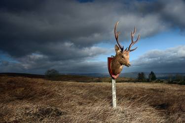 Original Conceptual Landscape Photography by rory moore