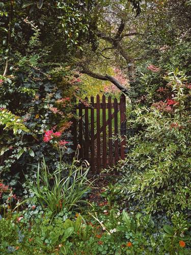 Original Fine Art Garden Photography by Magda Lates