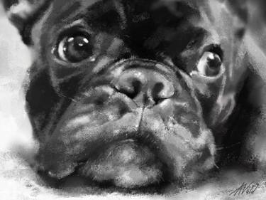 Print of Fine Art Dogs Paintings by Alex Vald