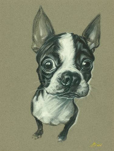 Boston Terrier Original Pastel Painting by Alex Vald thumb
