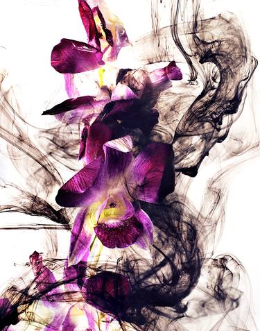 Original Conceptual Abstract Photography by Tatsuro Nishimura