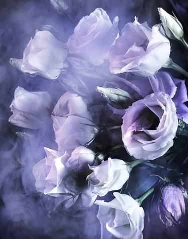 Original Abstract Floral Photography by Tatsuro Nishimura