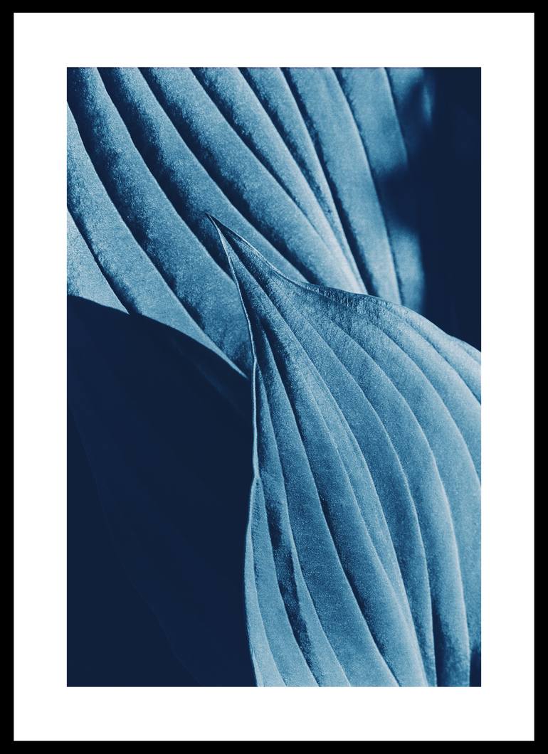 Original Abstract Nature Photography by Tatsuro Nishimura