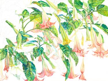 Pink Brugmansia Diptych A (Right) thumb