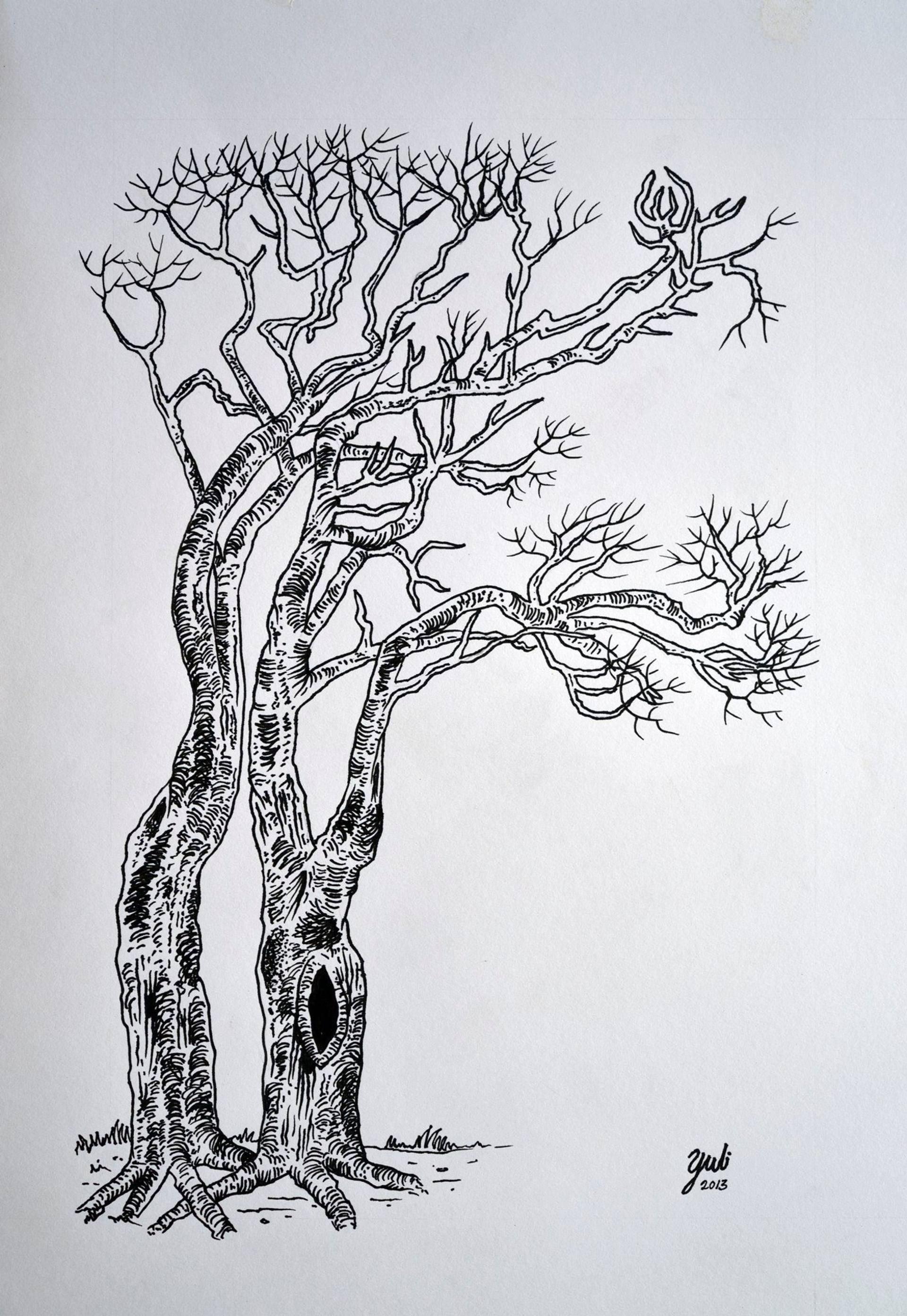 Windswept Trees Drawing by Yuli Yap Saatchi Art
