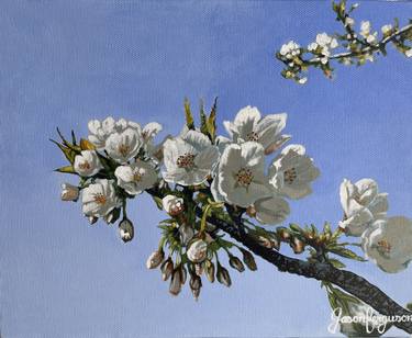 Original Realism Floral Paintings by Jason Ferguson