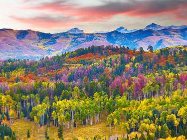 Autumn Tapestry, Colorado thumb