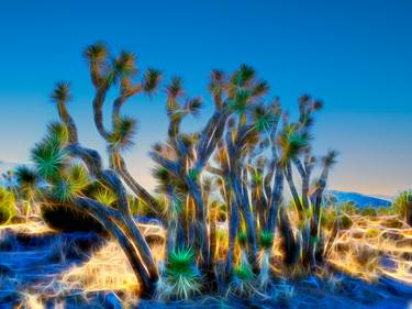 Original Impressionism Tree Photography by Douglas Dolde