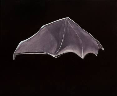 Chiroptera umbraculum, Brolly bat thumb