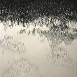 Ants by Mircea Constantinescu