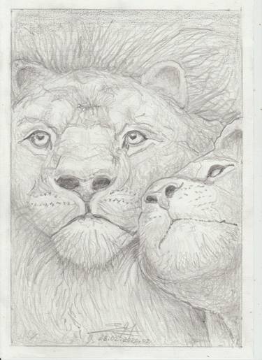 Original Animal Drawings by Schmitt Alain
