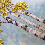 Birches by Nataliya Stupak